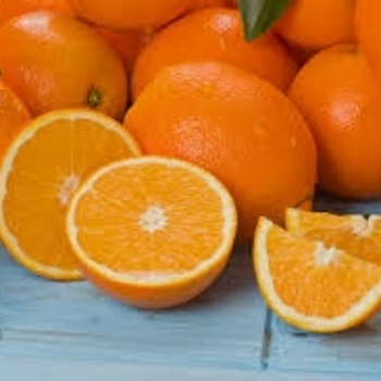 Citrus sinensis - Navel Orange