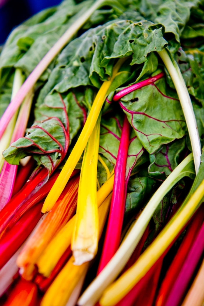 Rainbow Culinary Couture™ Swiss Chard - Swiss Chard 'Rainbow Culinary Couture™ ' from Roots Garden Center Inc