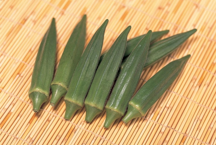 Jambalaya - Okra from Roots Garden Center Inc