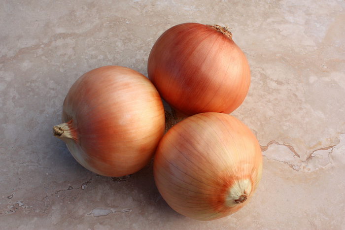 Great Western F1 (SON102Y) - Onion from Roots Garden Center Inc