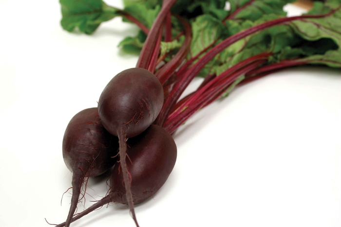 Vulture F1 - Beet from Roots Garden Center Inc