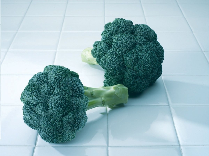 Diplomat F1 - Broccoli from Roots Garden Center Inc