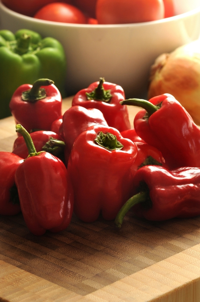 Cajun Belle Pepper - Capsicum annuum (Bell Pepper) from Roots Garden Center Inc