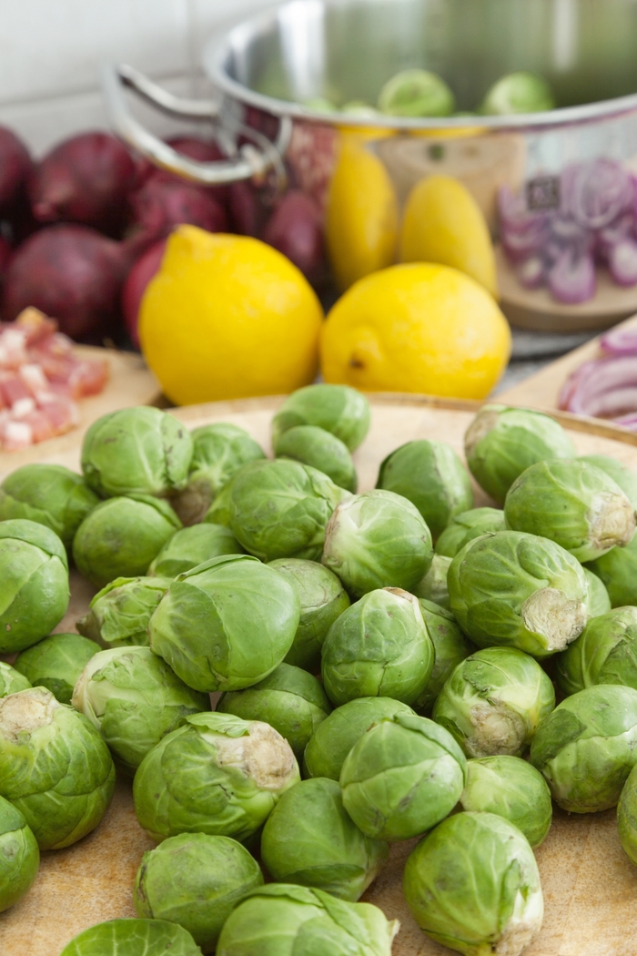 Brussels Sprouts - Brassica oleracea 'Long Island' from Roots Garden Center Inc