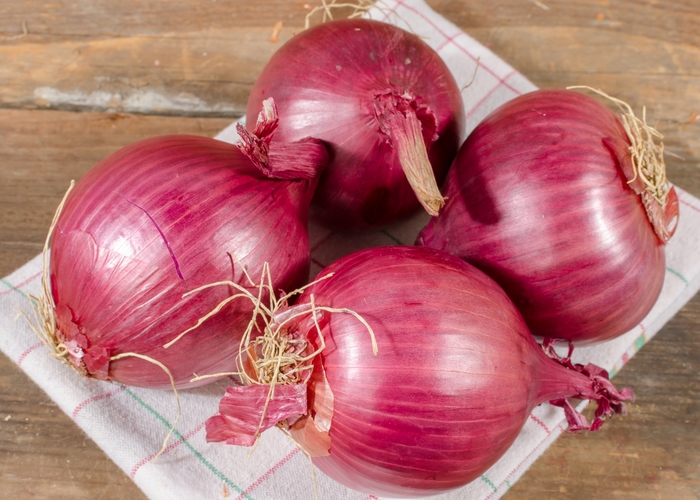 Onion - Allium cepa 'Red Wethersfield' from Roots Garden Center Inc