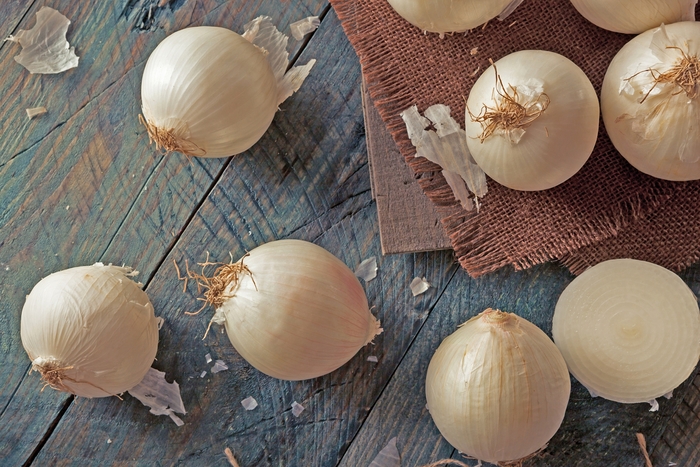 Onion - Allium cepa 'White Ebenezer' from Roots Garden Center Inc