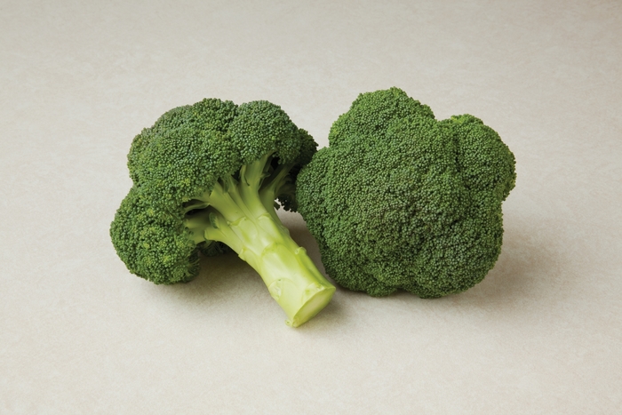 Broccoli - Brassica 'Durapak 16' from Roots Garden Center Inc