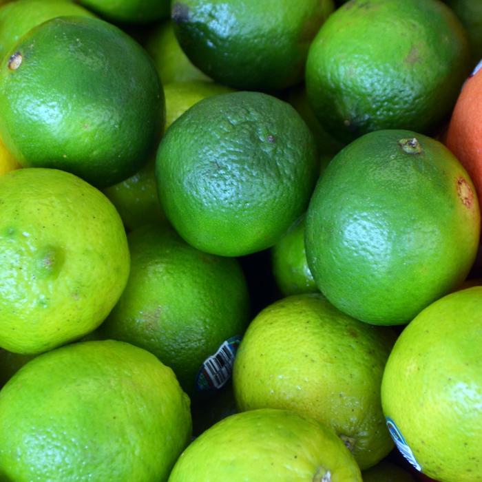 Key Lime - Citrus aurantifolia from Roots Garden Center Inc