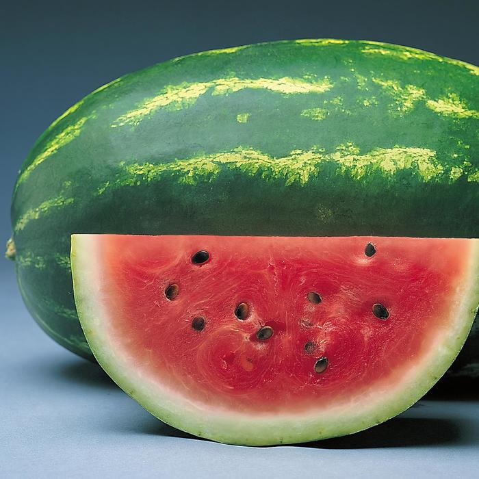 'Sunsugar' Watermelon - Citrullus from Roots Garden Center Inc