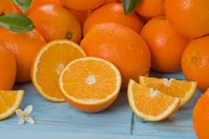 Navel Orange - Citrus sinensis from Roots Garden Center Inc